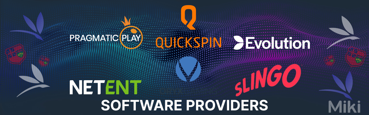 Miki ontario software providers